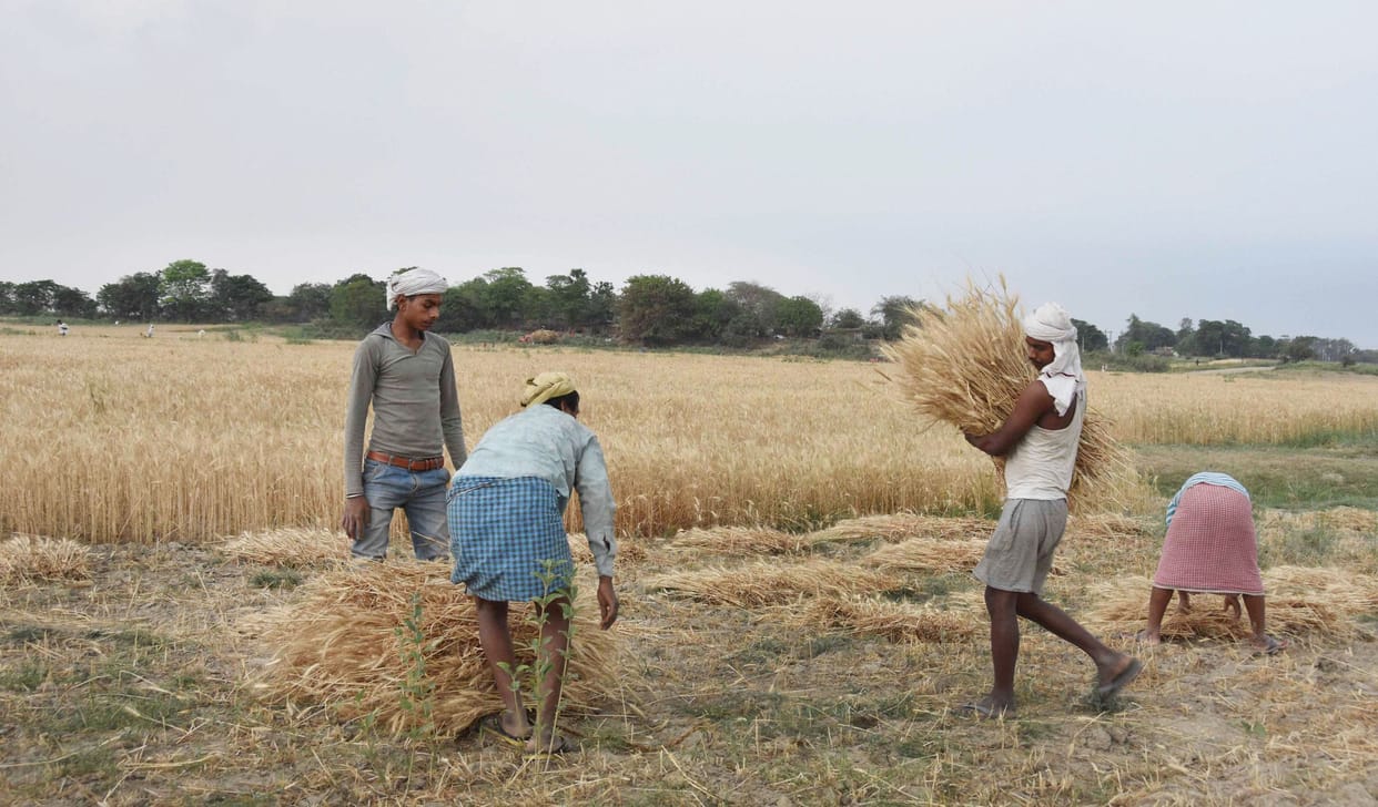 record foodgrains production target set by government amid forecast of normal monsoon