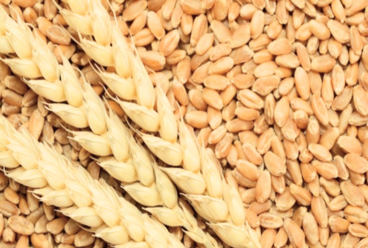Foods You Can Eat a Lot of Without Gaining Weight Know Their Benefits in HIndi