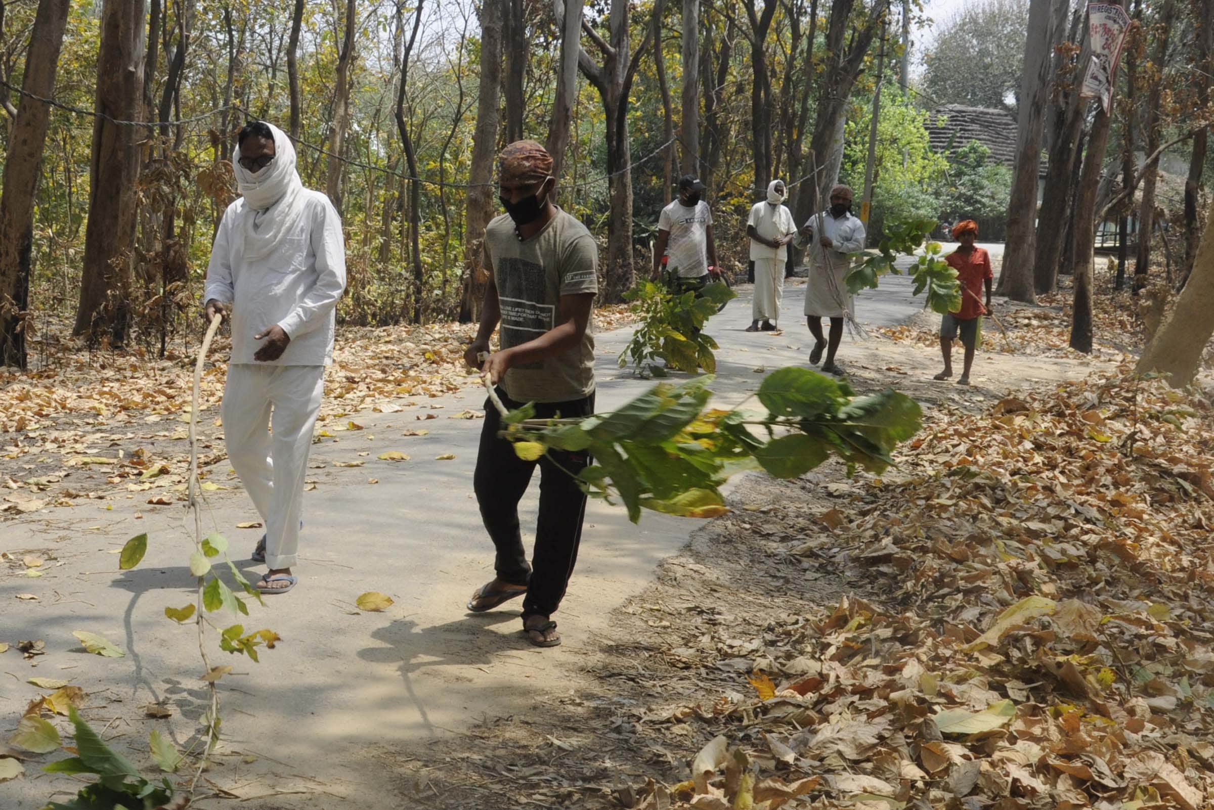 Pratapgarh: Chilbila forest fire, millions of forest wealth ashes
