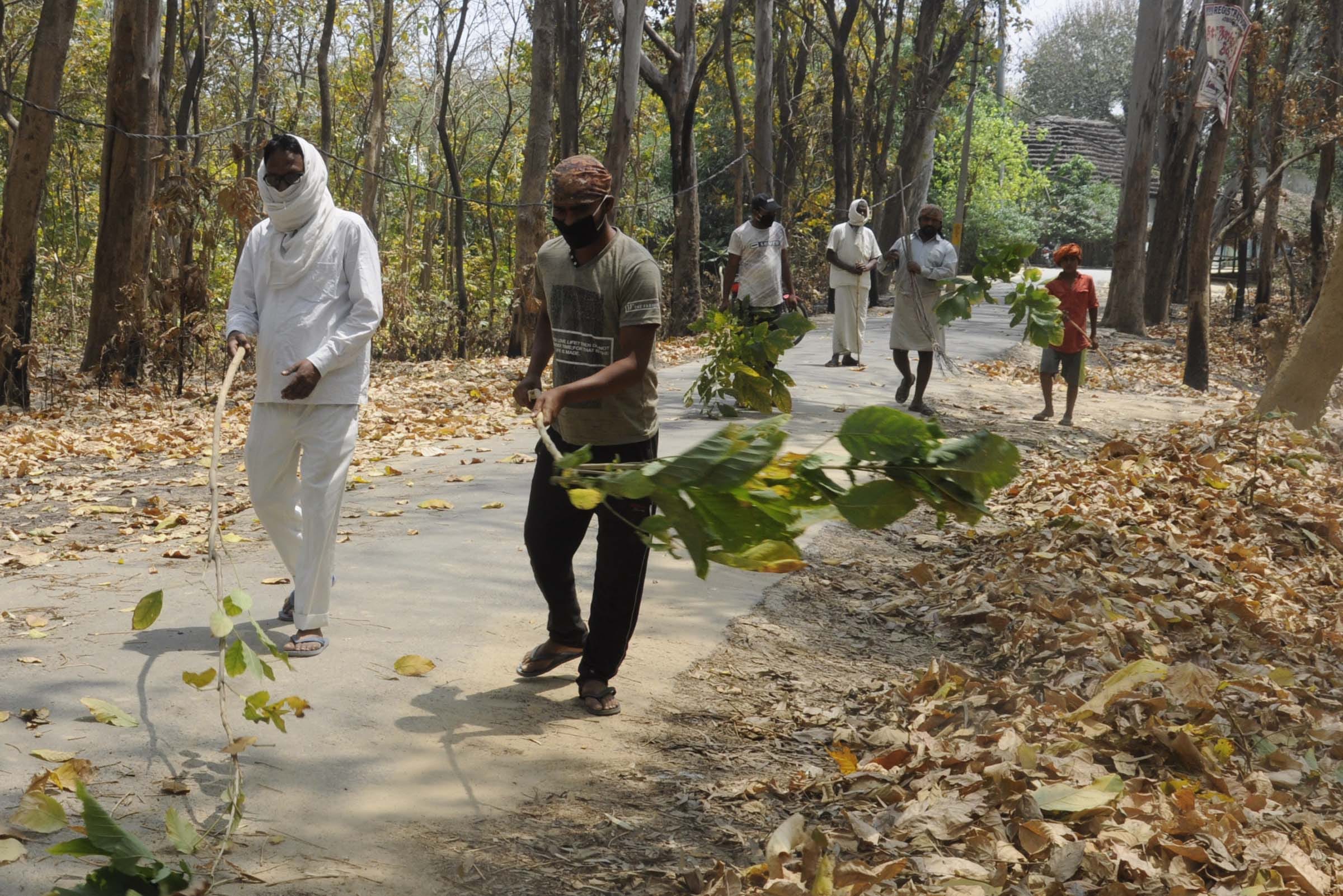 Pratapgarh: Chilbila forest fire, millions of forest wealth ashes