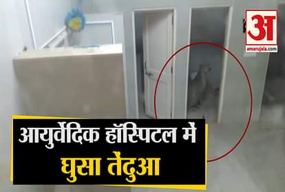Gujarat A Leopard Had Entered The Washroom Of Ayurveda Hospital