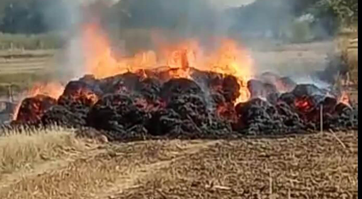Crop ash in fire from HT line