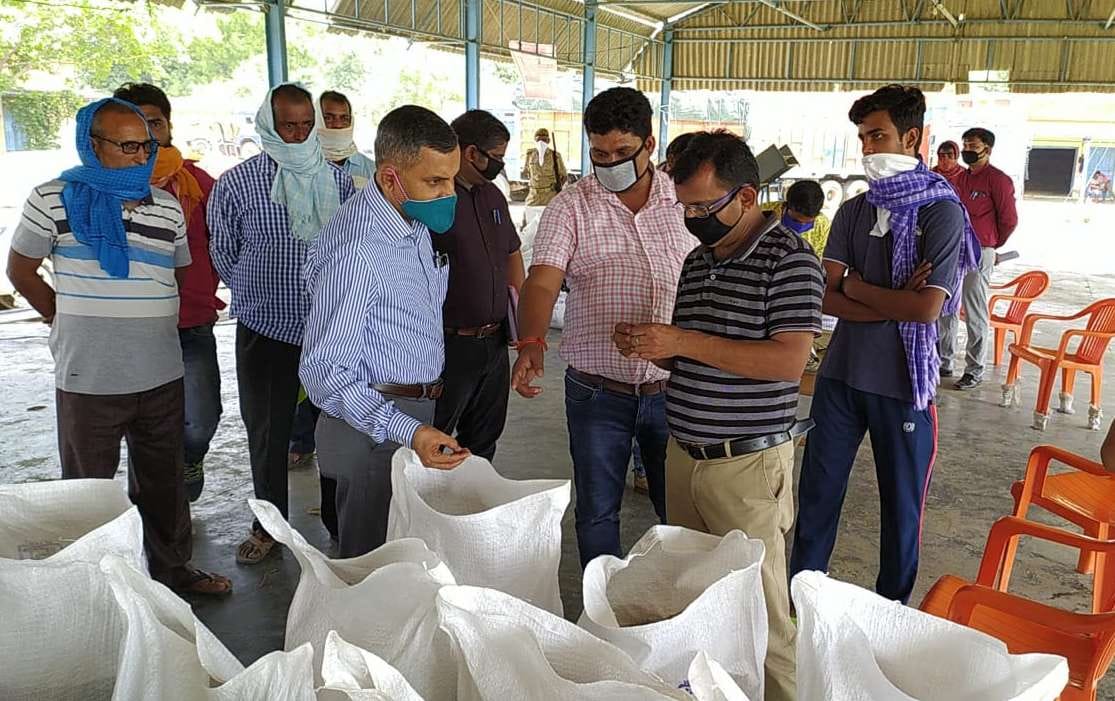 9.80 lakh quintal wheat to be procured at 75 purchasing centers