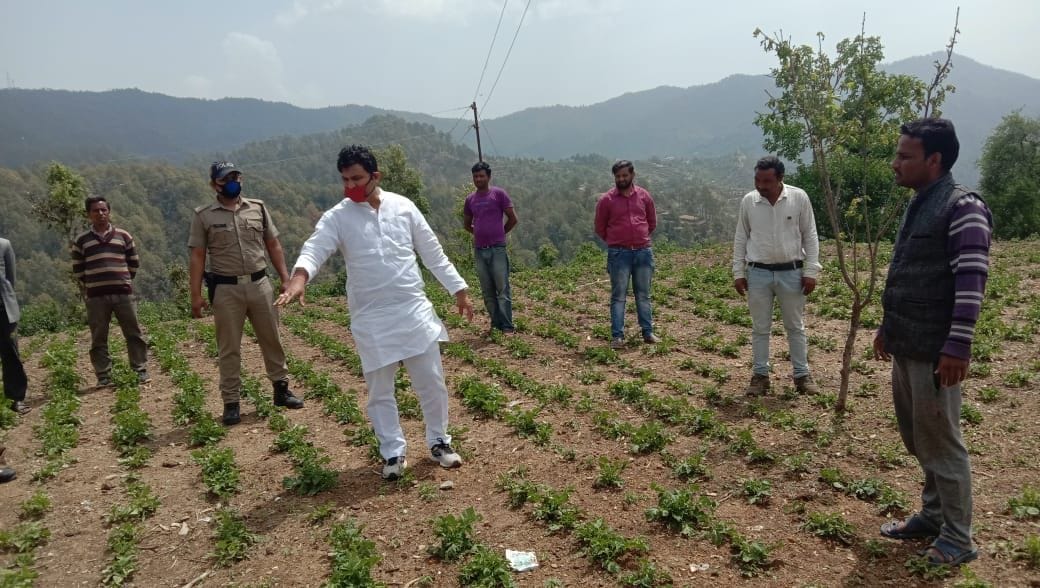 Give fair compensation to farmers by conducting hail survey: Kaida