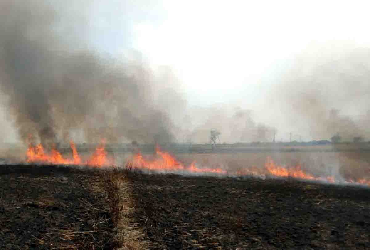 Hundreds of bigha crops burnt in fire in Chitrakoot