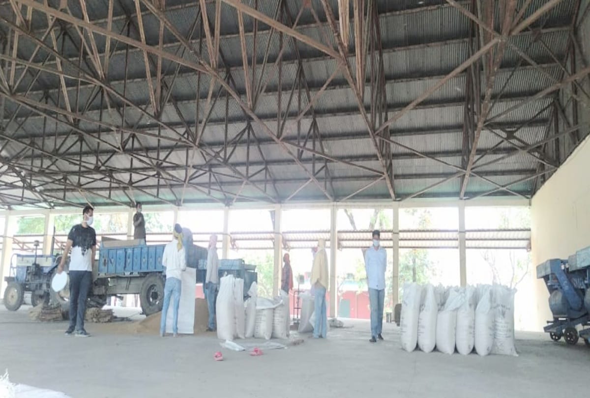wheat procurement will start today in Gorakhpur