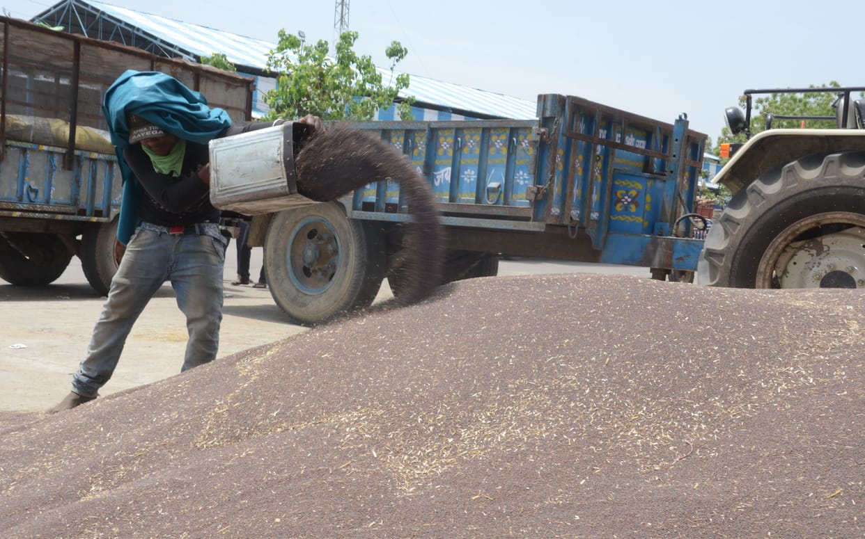 agriculture