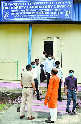 Corona: Sample investigation started at IVRI