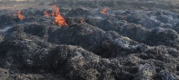 Wheat cut crop burnt in Rasulpur Said