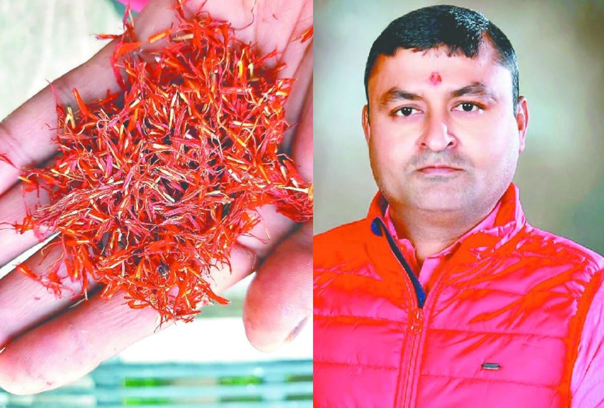 first time saffron farming in agra