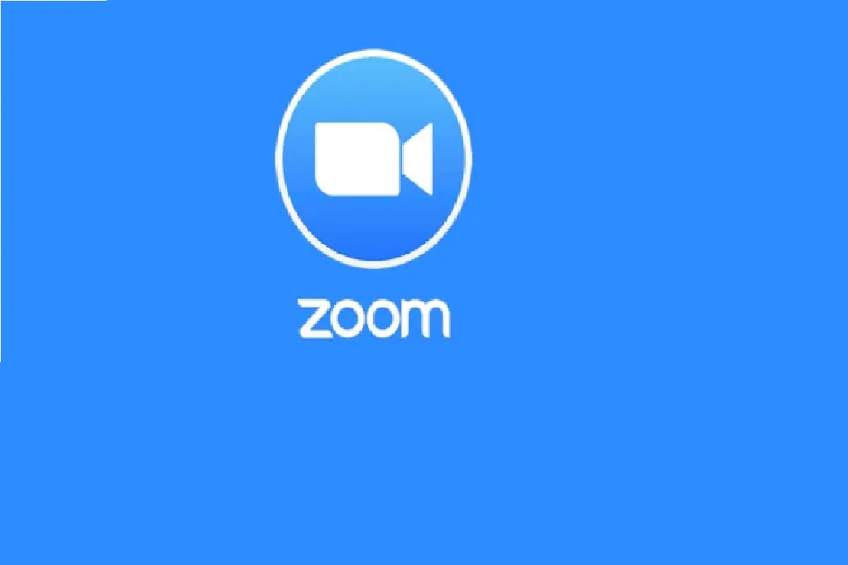 zoom app