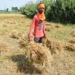खेत में किसान