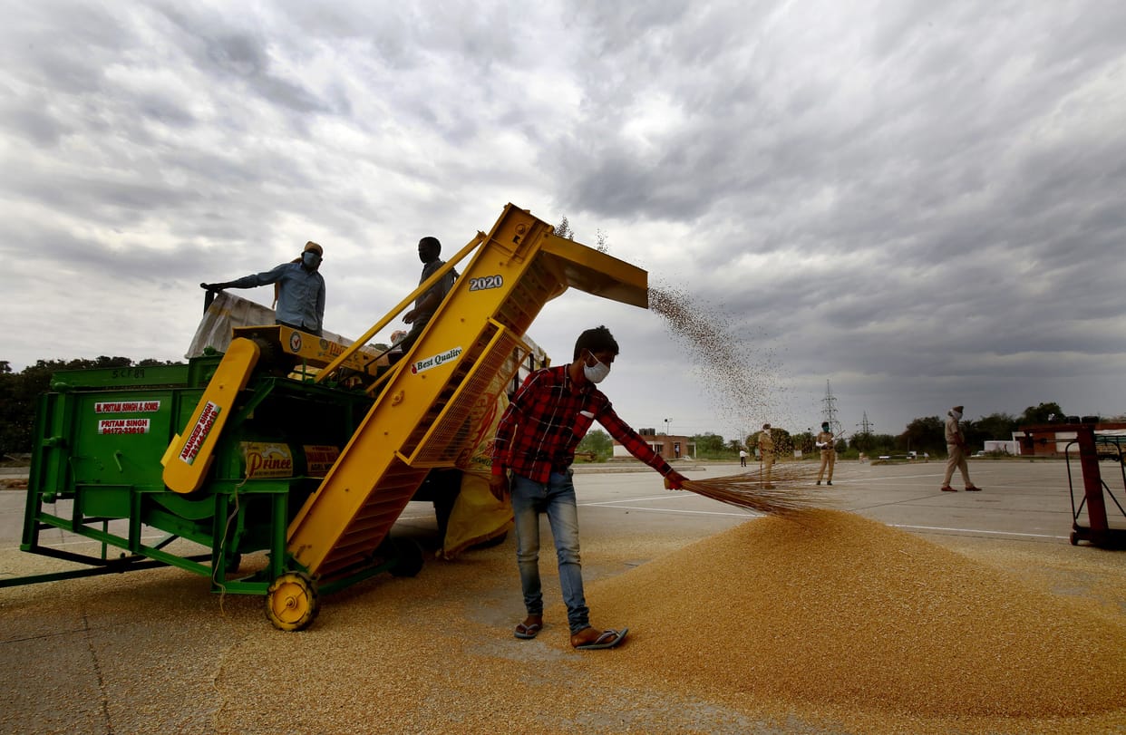 27 farmers arrived in the grain market