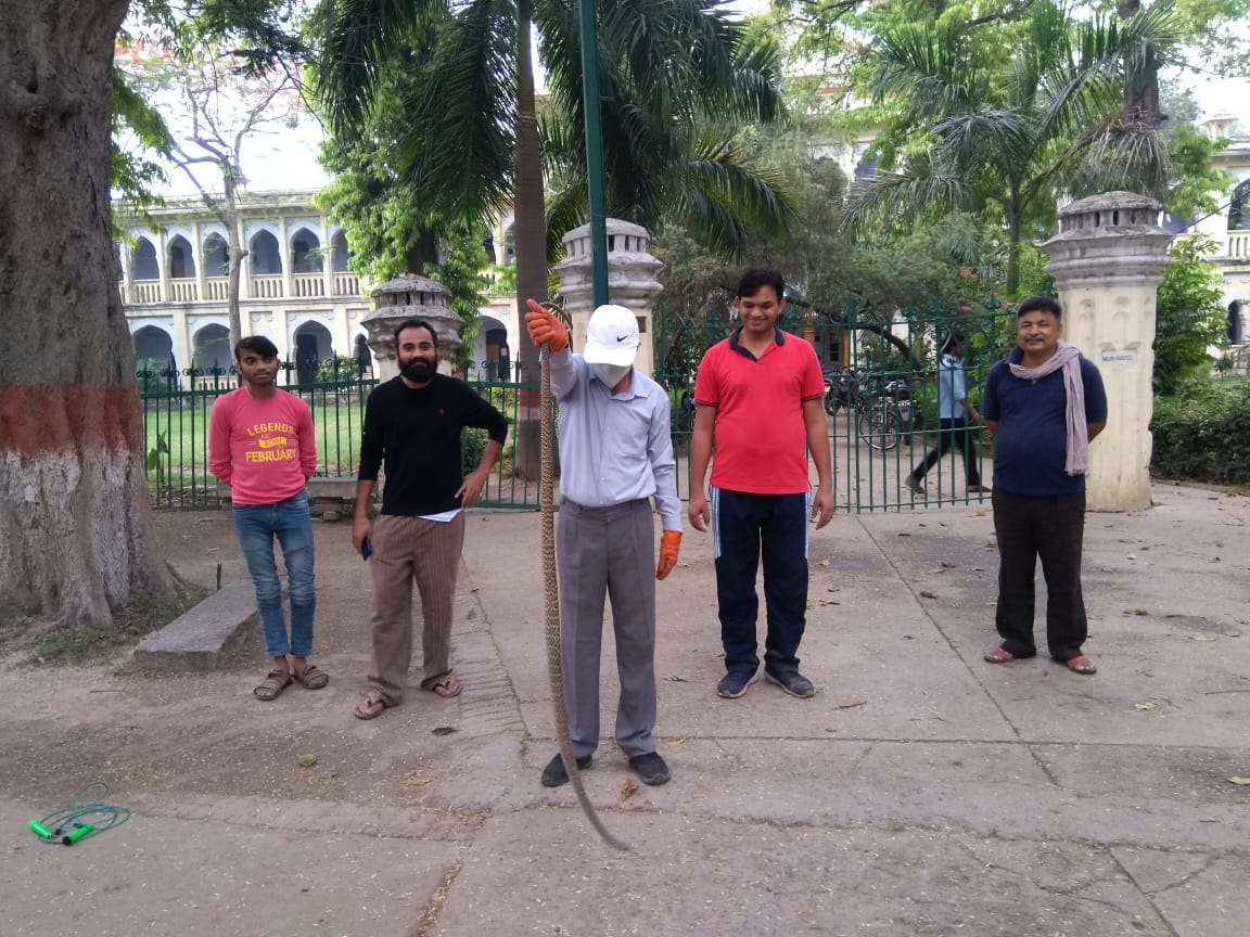 a snake found in AN JHA hostel