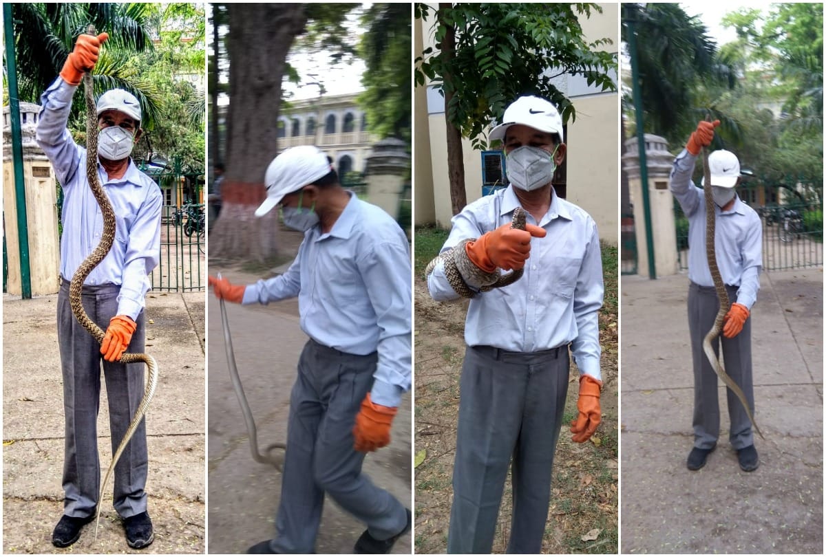 a snake found in AN JHA hostel