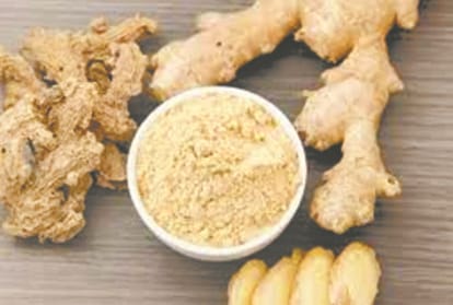 tips for increasing the immunity system by doctor vandana pathak