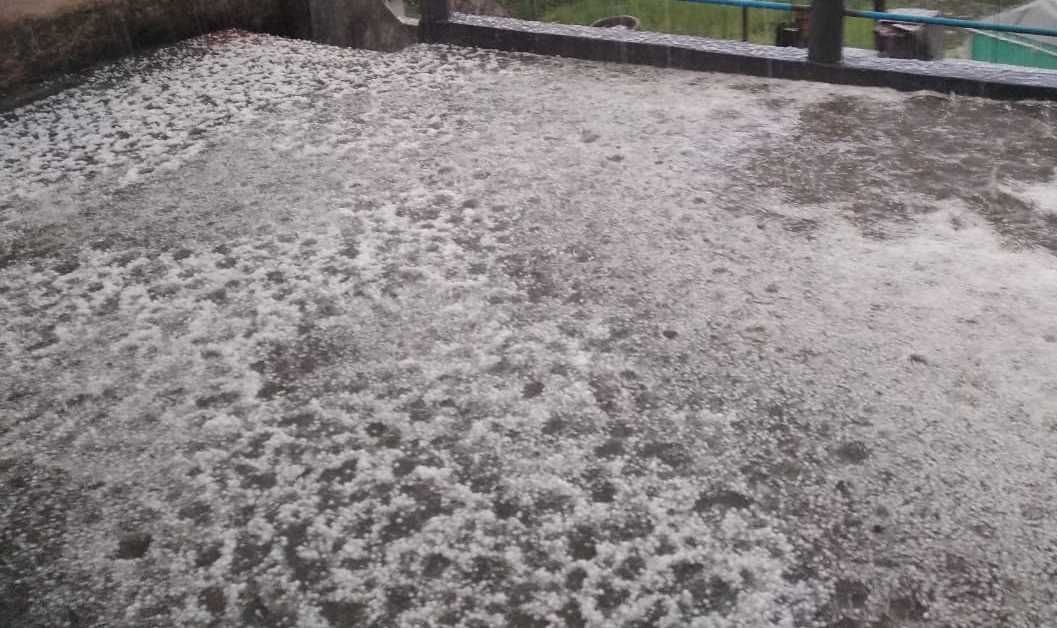 Crop Damage in Shama