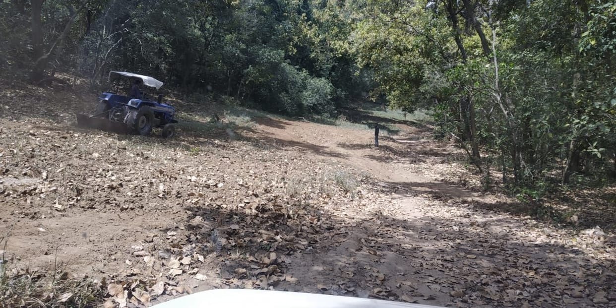 Cleaning national park safe to the fire