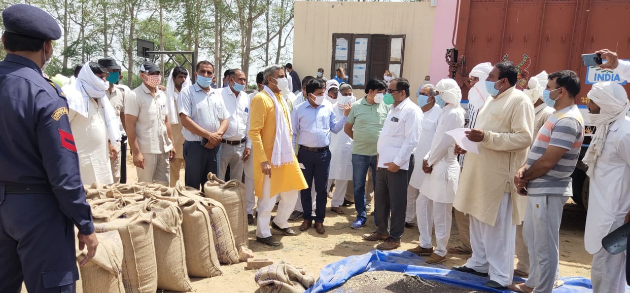 bhiwani news,Agriculture Minister took stock of mustard procurement process, social distance did not show