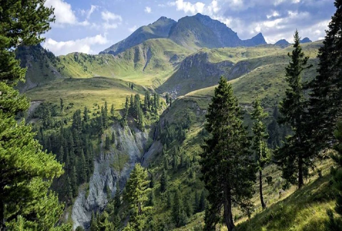 uttarakhand news: Badri Forest will be developed in Badrinath Dham