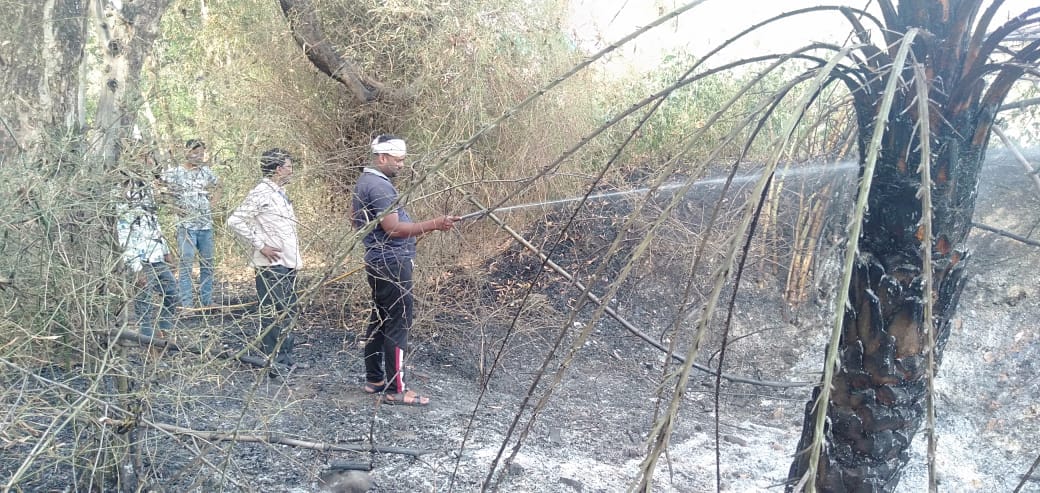 Trees caught fire near grain warehouse