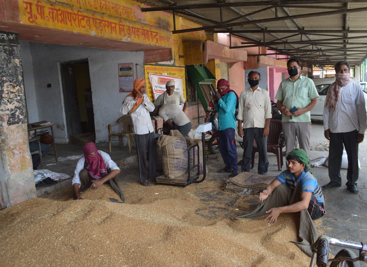 five quintol wheat selling in hathras