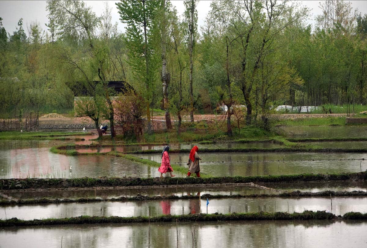 World Labor Day, Thousands of laborers trapped in jammu kashmir due to lockdwon
