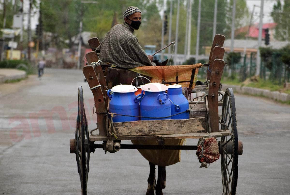 World Labor Day, Thousands of laborers trapped in jammu kashmir due to lockdwon