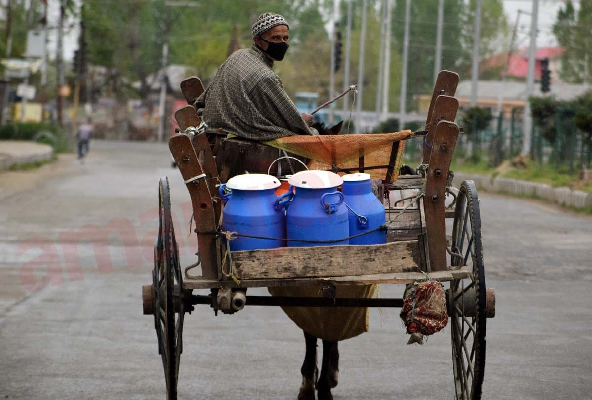 lockdown in Jammu Kashmir (J&K) news in Hindi, Farmers are following social distancing in fields