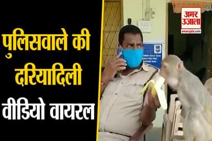 policeman and monkey video viral on social media during lockdown