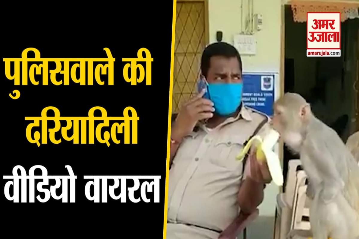 लॉकडाउन