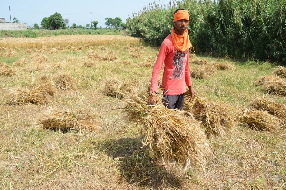 Is Farmers demands to make minimum support price compulsory, it is feasible for government