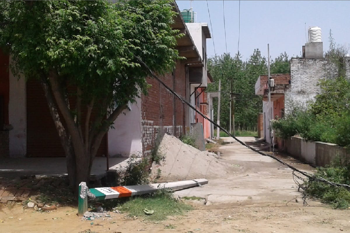 Wheat crop damaged due to rain in Muzaffarnagar of Uttar Pradesh