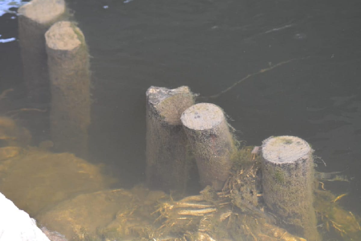 Lockdown in Uttar Pradesh, Kali river is not free from pollution due the lockdown in Muzaffarnagar