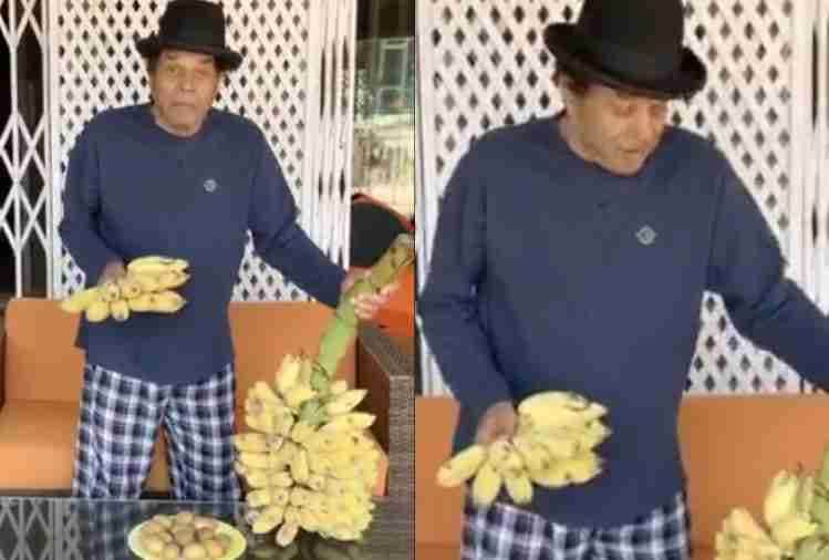 dharmendra busy in his farm house during lockdown