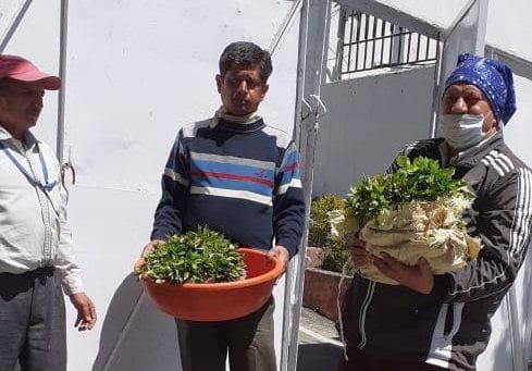 The economy of farmers was supported by the border project