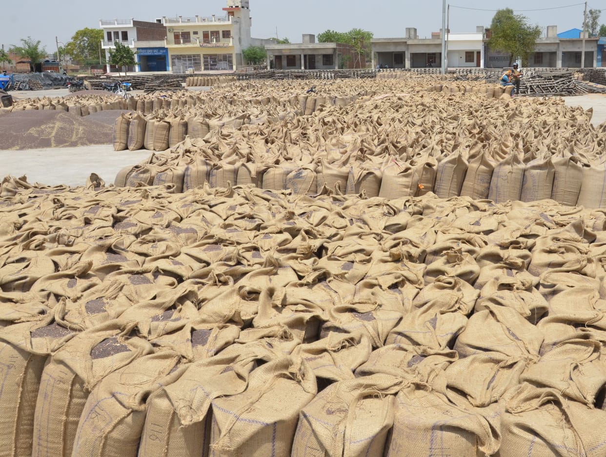 new grain market bhiwani