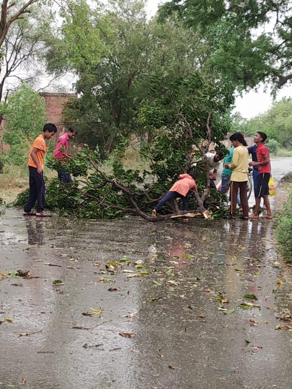Drizzle with strong storm, hail fell