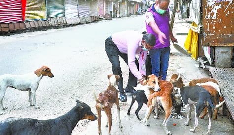 IVRI employees become helpless with hunger in lockdown