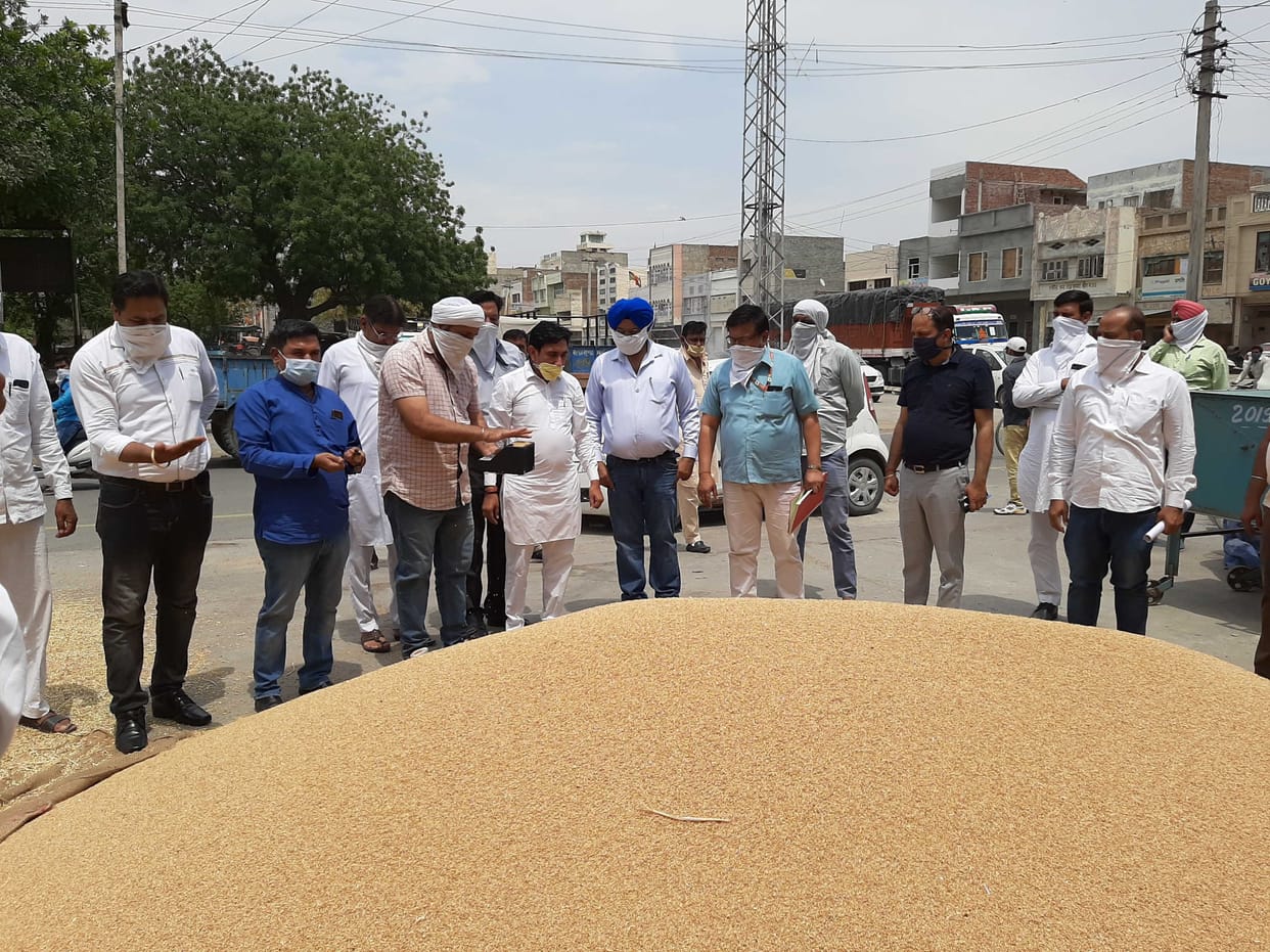 only four farmers brought wheat to sirsa mandi on first day
