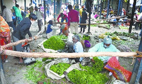 All government offices will open from today, 50 percent staff will come from the schedule