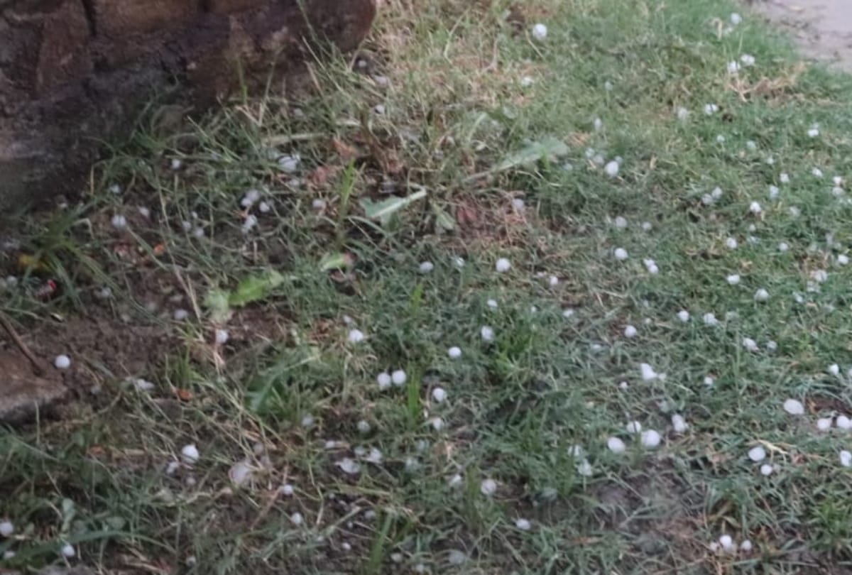 Farmers distressed for harvest destroyed due to heavy rain and Hailstones in gorakhpur