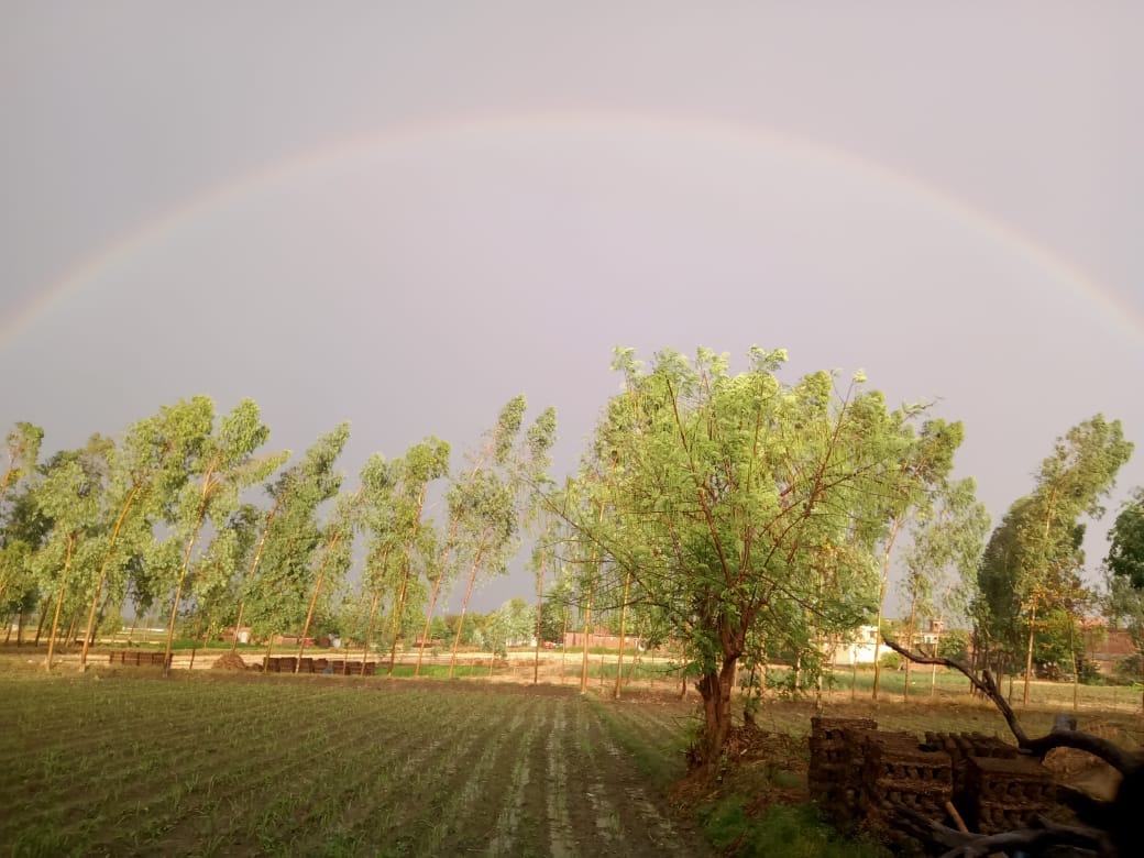 Heavy rain started with clouds in Gorakhpur see latest photos