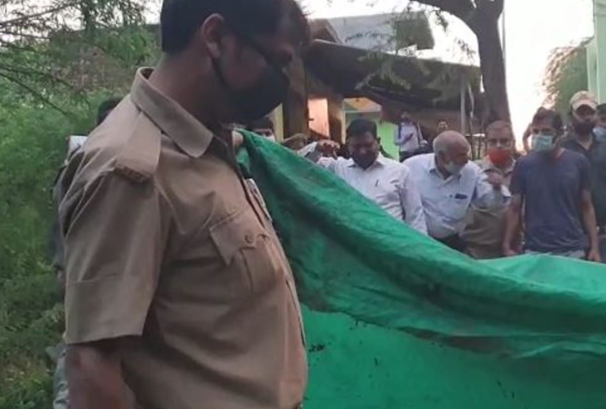 leopard reaches populated area in mathura during lockdown