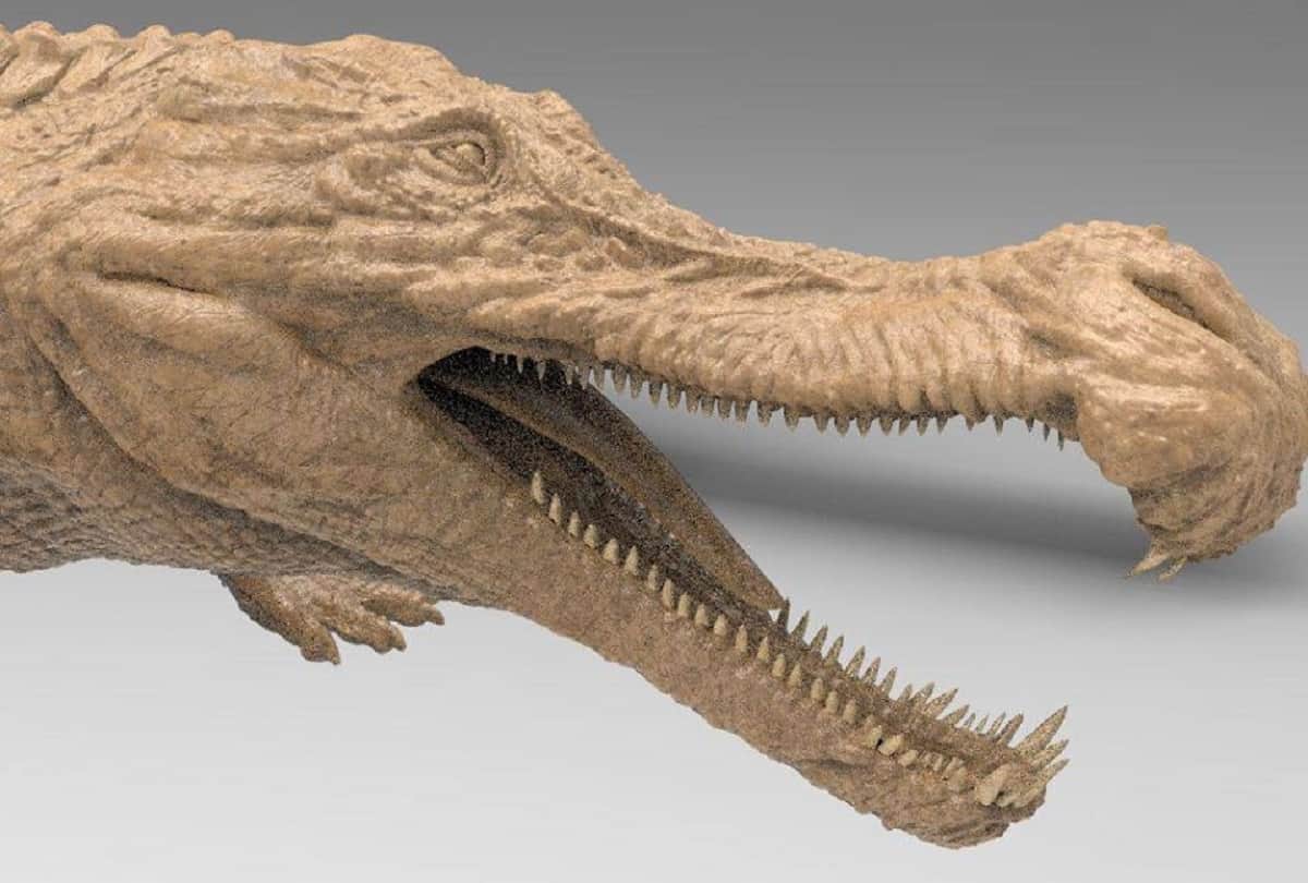Largest Prehistoric Crocodile Ever Sarcosuchus who had eats dinosaurs