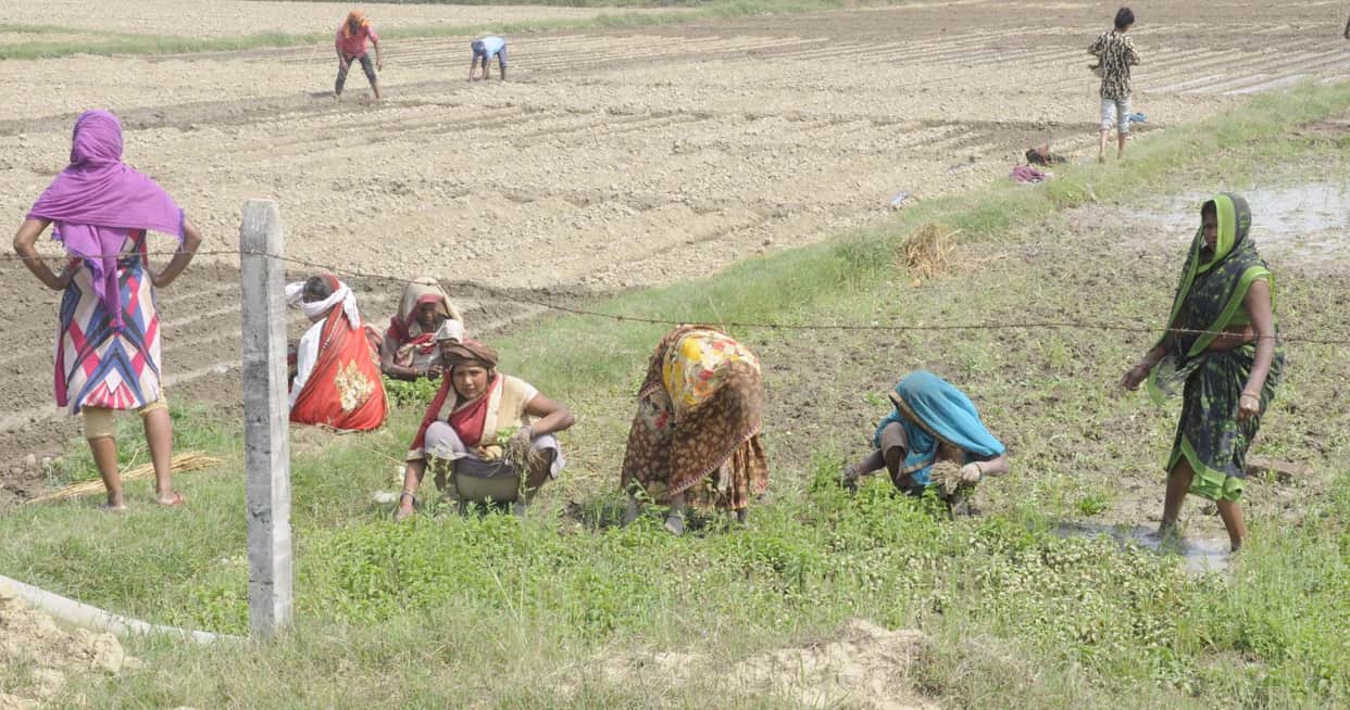 Pratapgarh: Farmers sleep in the sky due to cloud and dust storm