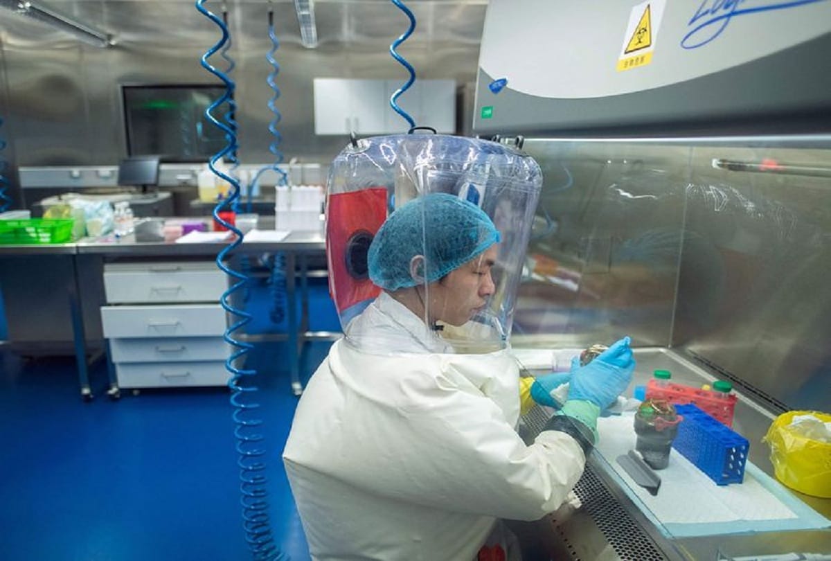China: Samples of new coronavirus found in bats, scientists made this claim after research