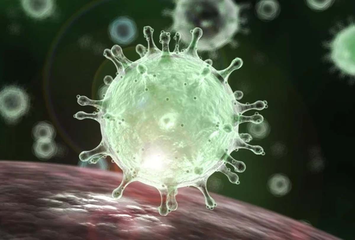 Lockdown, Curfew, Coronavirus in Punjab: Death Cases, Positive Cases