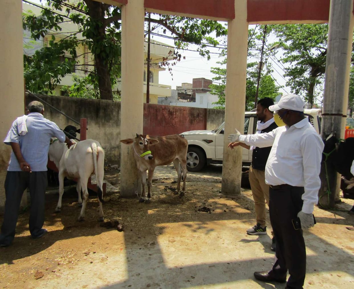 EO inspects temporary animal shelter site