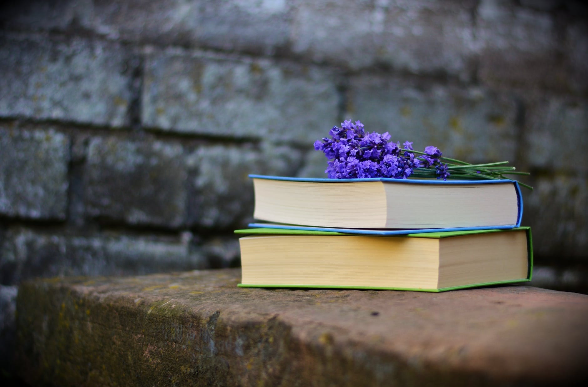 world book day theme 2020 history william shakespeare death anniversary know reading benefits